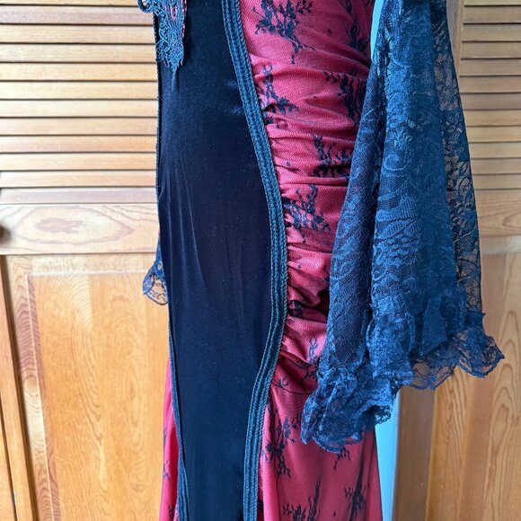 Gothic Victorian Vampire Bloody Garden of Delight Black & Red Lace Velvet Gown - Picture 9 of 15